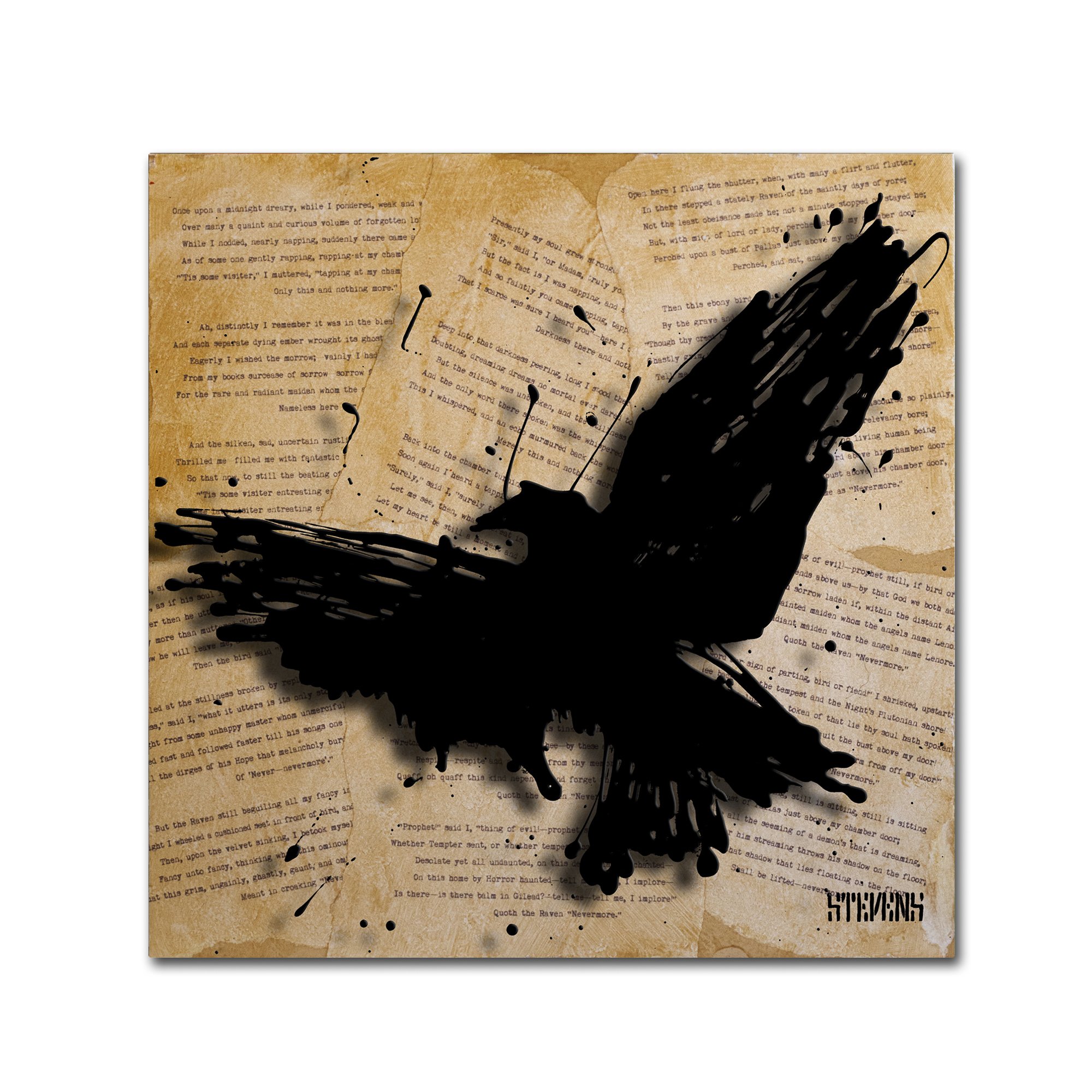 RAVENS 鶴 アートブック Amazon.com: Trademark Fine Art The Raven 2 Artwork by Roderick